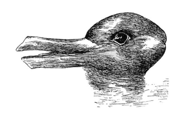 Duck or Rabbit illusion demonstrating how one thing can be perceived differently from a different angle